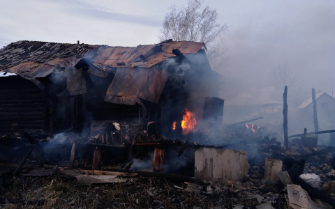 За выходные на пожарах в Мордовии погибли три человека (фото)