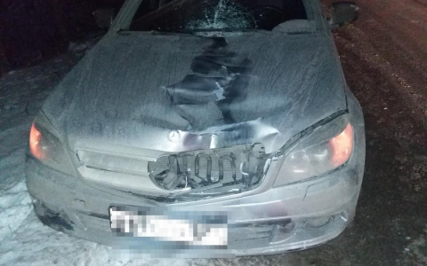 В Мордовии иномарка сбила пешехода: мужчина скончался до приезда «Скорой»