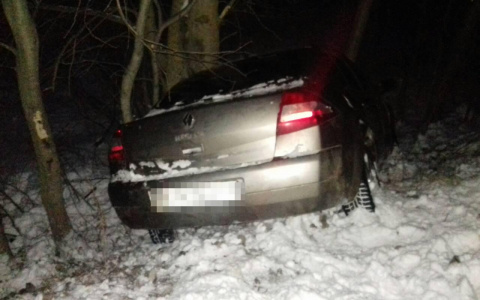 В Мордовии водитель без прав съехал в кювет и врезался в дерево (фото)