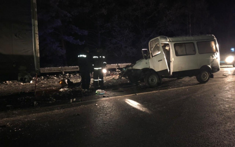 На трассе в Мордовии «ГАЗель» врезалась в большегруз (фото)