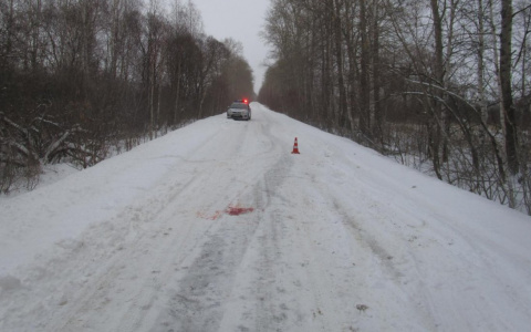 80-летний житель Мордовии попал под колеса иномарки