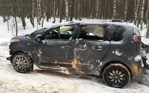 В Мордовии автоледи на иномарке врезалась в дерево