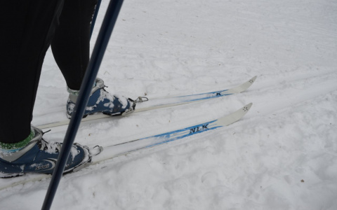 Пятого января в Саранске пройдет общегородской День здоровья