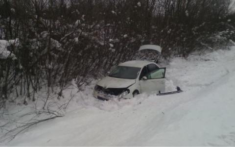 В Мордовии иномарка вылетела с дороги