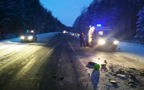 Авария на трассе в Мордовии унесла жизни двух человек