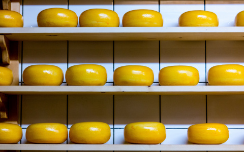 В Мордовии сыроварни произвели более 17 000 тонн сыра