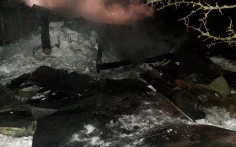 Пьяный житель Мордовии устроил пожар в бане, получил ожоги спины и забыл об этом (фото)