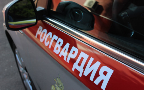 Задержаны две жительницы Саранска, которые пытались украсть из магазина 30 товаров