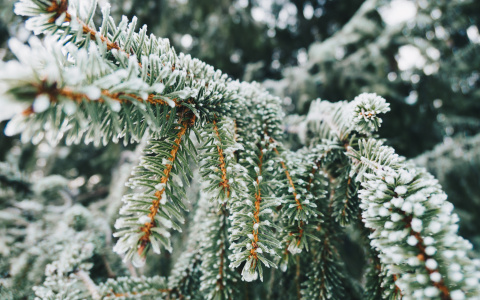 Что ждать жителям Саранска от погоды в среду?