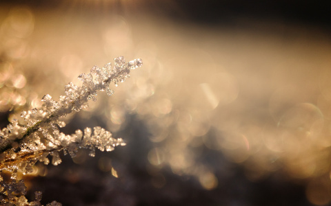 Из-за морозов в некоторых районах Мордовии отменены занятия в школах