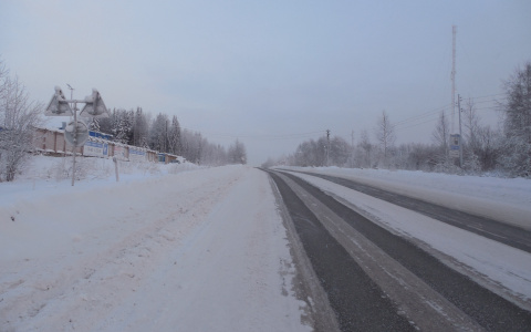 Мужчина бросил попутчицу между Саранском и Рузаевкой: девушка получила обморожение стоп