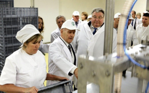 Мордовия вошла в пятерку регионов-лидеров по росту производства мяса птицы