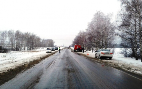 ДТП на трассе в Мордовии: водитель погиб, две пассажирки пострадали