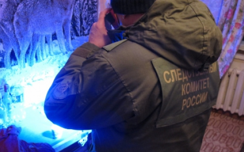 Житель Саранска во время ссоры убил свою 20-летнюю сожительницу