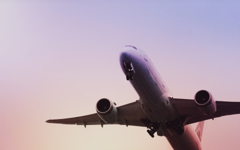 Санкт-Петербург с Саранском свяжет дополнительный авиарейс