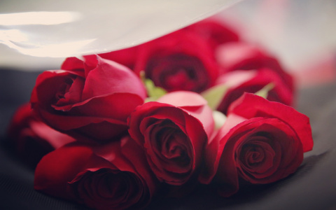 В Саранске пьяный «Ромео», готовясь к первому свиданию, украл 35 роз