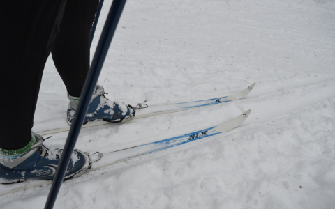 День здоровья в Саранске станет традиционным