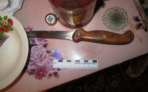 Во время пьяной ссоры житель Саранска ударил ножом сожительницу и убил ее дочь