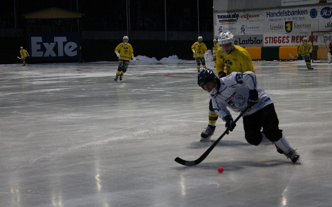 В Саранске тренировка 15-летнего хоккеиста закончилась реанимацией