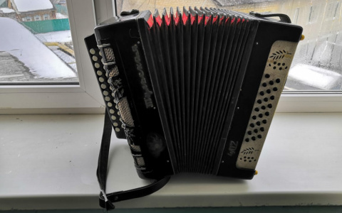 Житель Мордовии не заметил, что у него украли гармонь