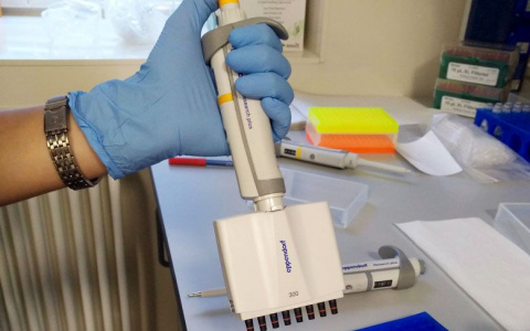 Жительница Саранска, пережившая рак, призывает земляков поддержать ее акцию по спасению жизней других больных