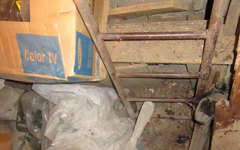 Житель Мордовии убил друга и несколько месяцев прятал его тело в подвале дома