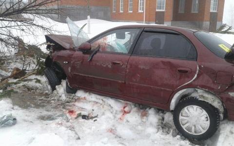 В Мордовии пьяный лихач врезался в стену монастыря: пятеро пострадали (фото)
