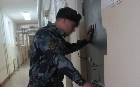 Осужденные мордовской колонии нанесли себе телесные повреждения: следком проводит проверку