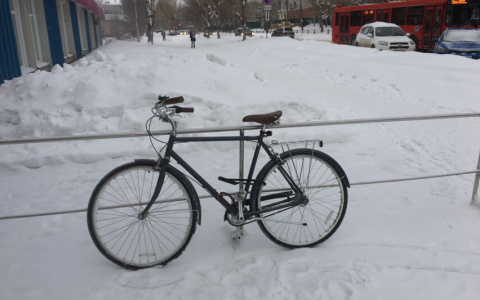 В Мордовии под колесами машины погиб велосипедист