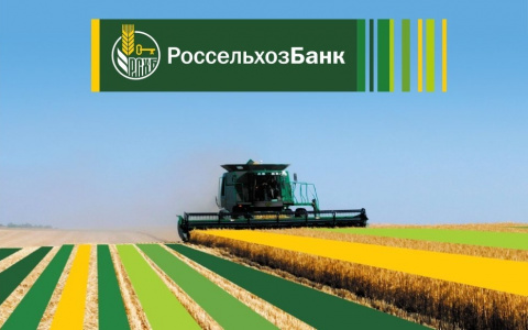 Россельхозбанк направил более 100 млн рублей на проведение сезонно-полевых работ в Мордовии