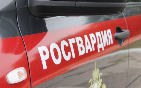 В Саранске посетитель разгромил кафе