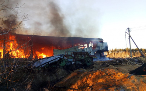 В цеху по деревообработке в Мордовии произошел крупный пожар