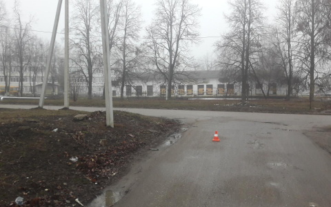 В пригороде Саранска неизвестный сбил пенсионера и скрылся с места ДТП