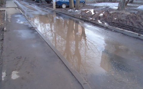 Житель Мордовии утонул в луже