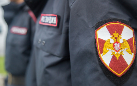 Росгвардейцы задержали жителя Мордовии, который не хотел лечиться от наркомании