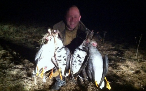 Житель Мордовии, который стрелял в гостей свадьбы, освобожден из зала суда