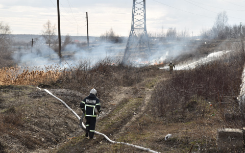 Мордовские пожарные за сутки 30 раз тушили горящую сухую траву