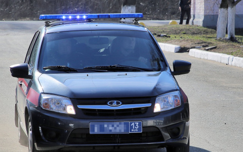 Повредил телевизор и сломал мебель: житель Саранска устроил дебош в кафе