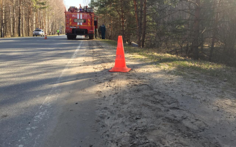 В Госавтоинспекции Мордовии прокомментировали ДТП с тремя погибшими