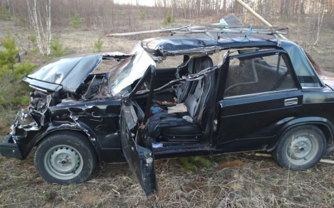 В Мордовии пьяный водитель «Лады» въехал в дискатор