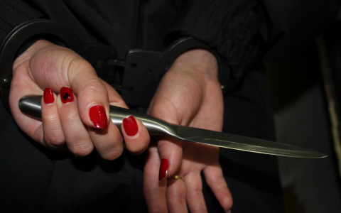 Жительница Мордовии ударила возлюбленного ножом, устав слушать нравоучения