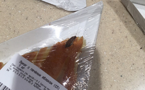 Будьте внимательны: в Саранске продают пироги с тараканами