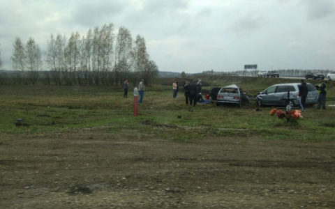 Появились подробности смертельного ДТП на трассе в Мордовии