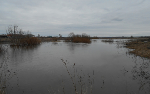 В Теньгушевском районе из реки достали тело мужчины