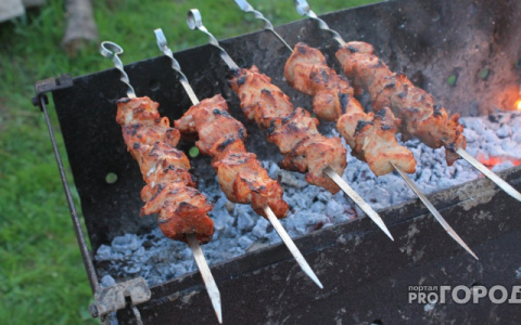 Роспотребнадзор Мордовии рассказал, как выбрать шашлык