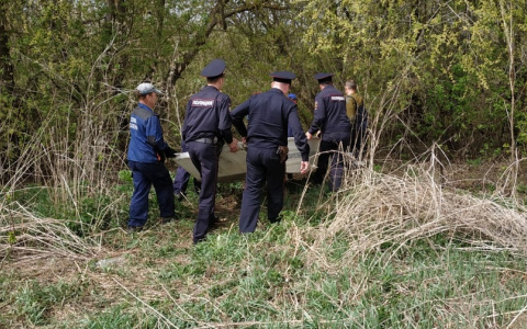 Упавшего в реку в Мордовии четырехлетнего мальчика все еще не нашли