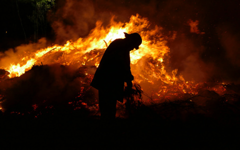 Высокая пожароопасность: в Мордовии объявлено оперативное предупреждение