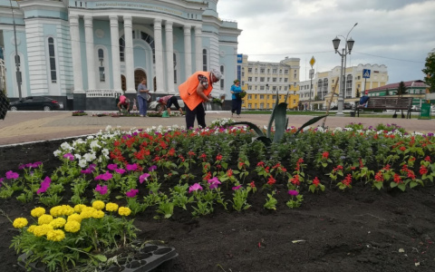 Саранск начали украшать цветами