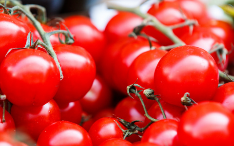 Опасные партии овощей обнаружили в Мордовии