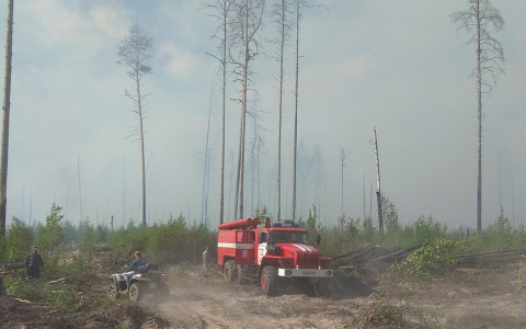 В Мордовии горит заповедник, введен режим ЧС